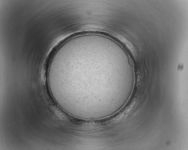 X0000103290973200809191826