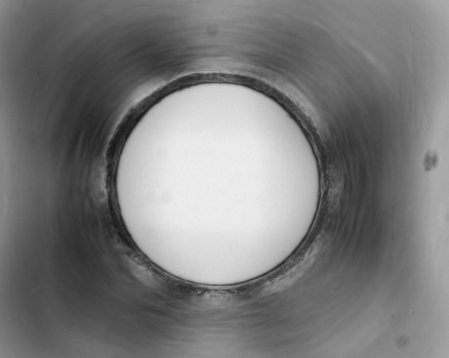 X0000103290974200809191826