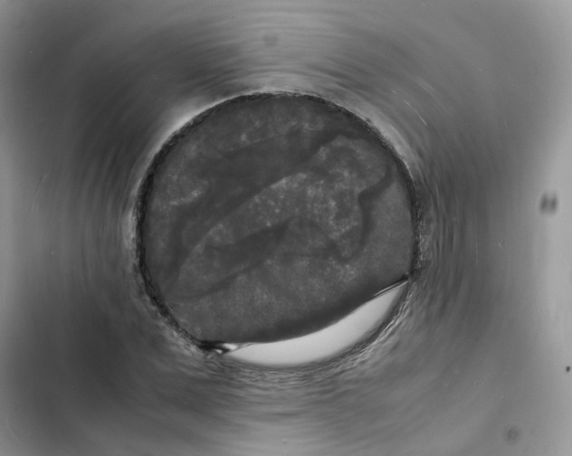 X0000103290975200809191826