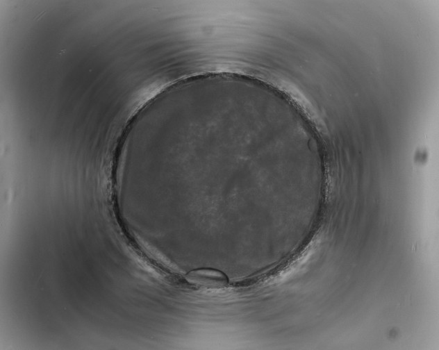 X0000103290977200809191826