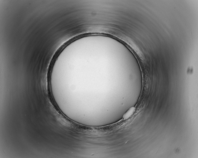 X0000103290980200809191826