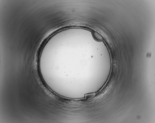 X0000103290981200809191826