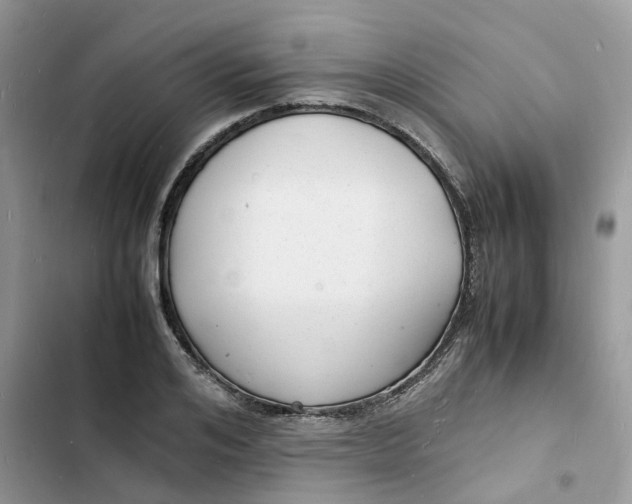 X0000103290984200809191826