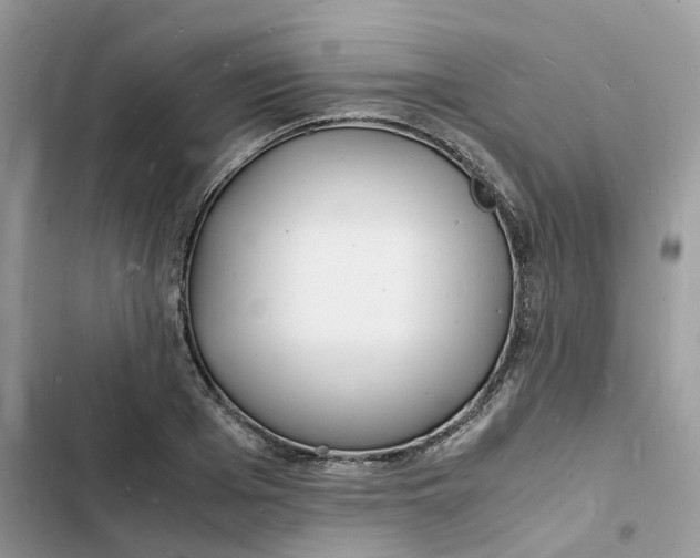 X0000103290985200809191826