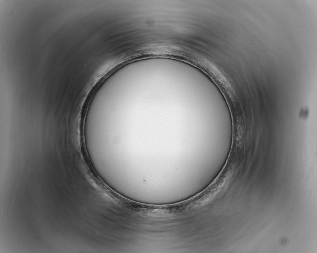 X0000103290986200809191826