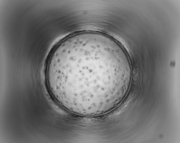 X0000103290987200809191825