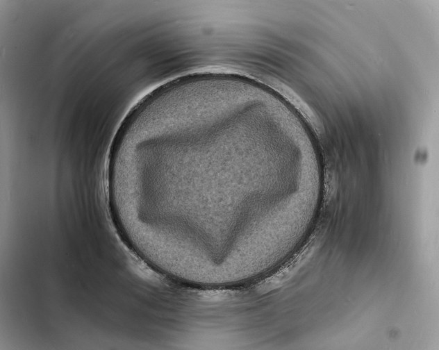 X0000103290988200809191825