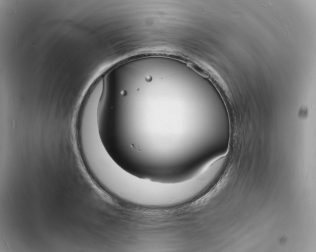 X0000103290989200809191825