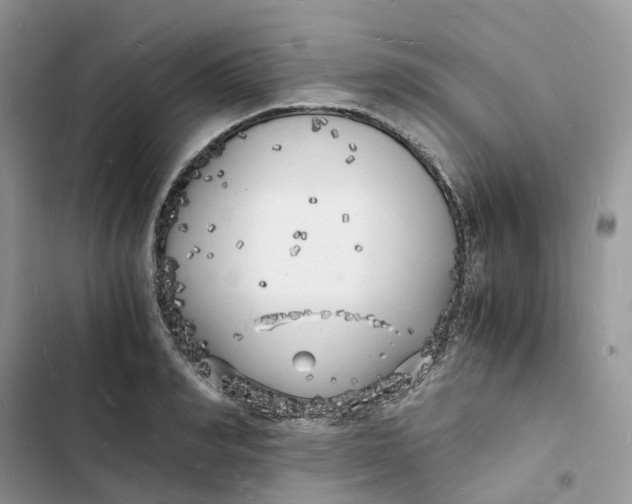 X0000103290990200809191825