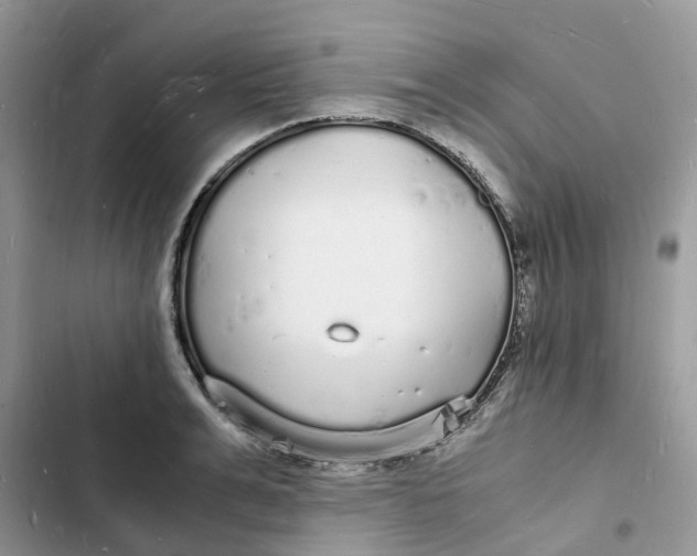 X0000103290991200809191825