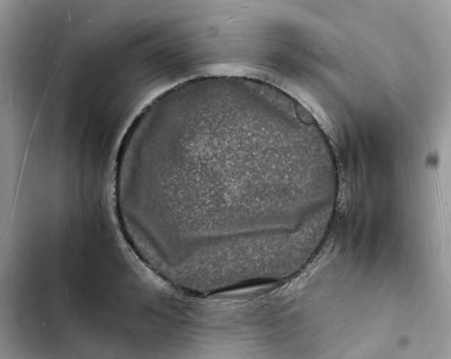 X0000103290992200809191825