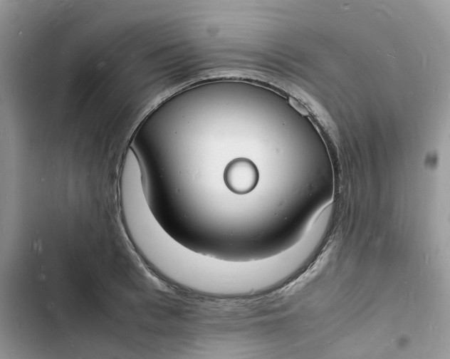 X0000103290993200809191825