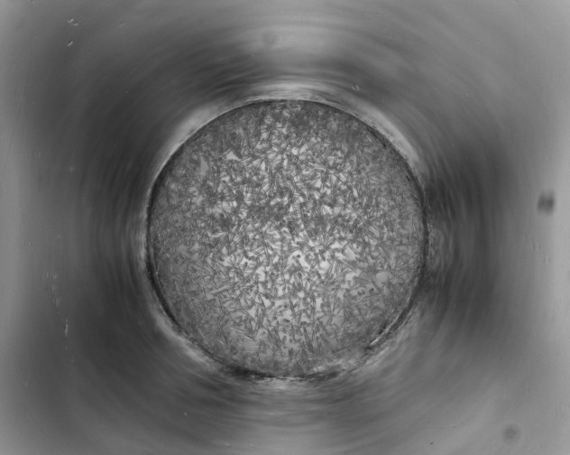 X0000103290994200809191825