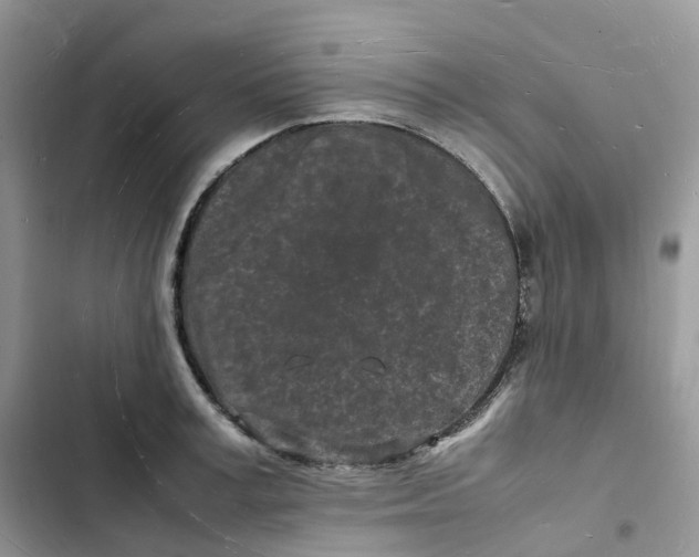 X0000103290995200809191825