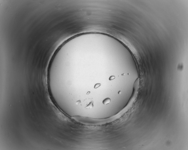 X0000103290996200809191825