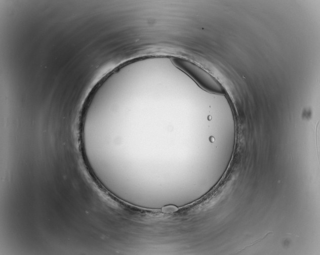 X0000103290997200809191825