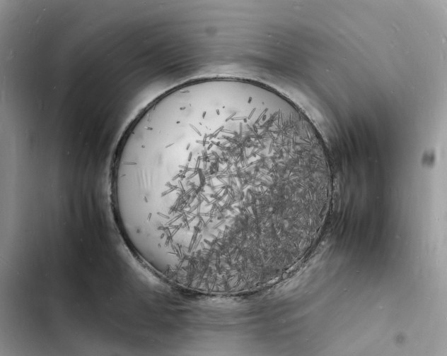 X0000103290998200809191825