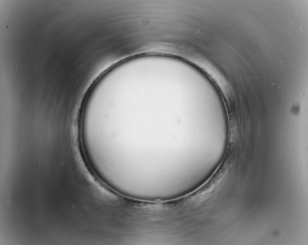 X0000103290999200809191825