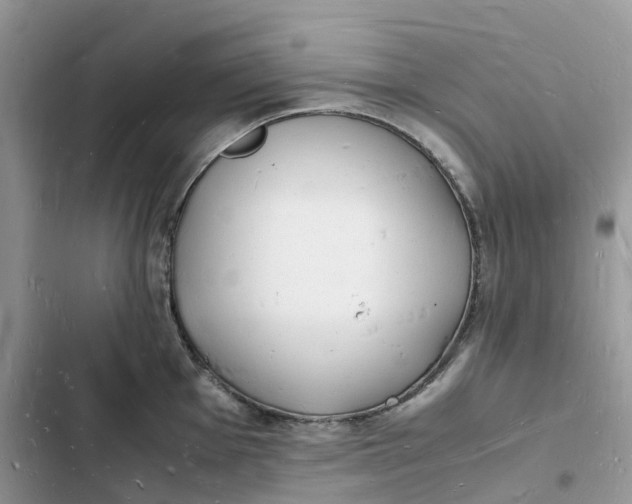 X0000103291001200809191825