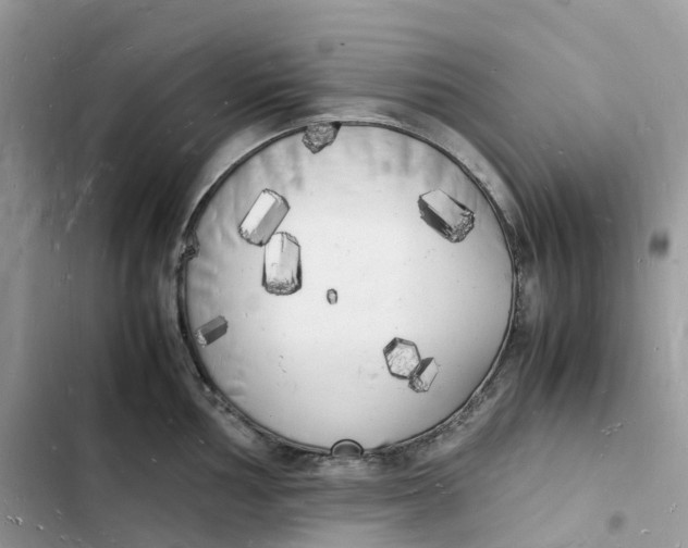 X0000103291002200809191825