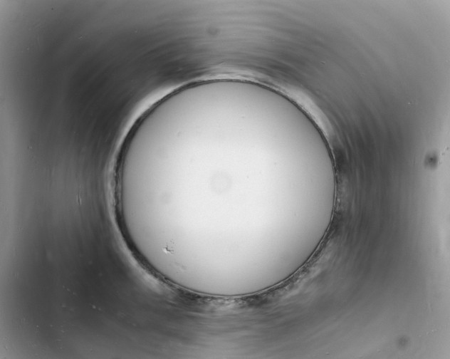 X0000103291003200809191825