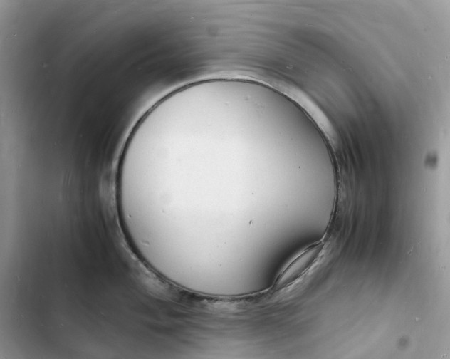 X0000103291004200809191825