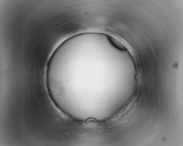 X0000103291006200809191825