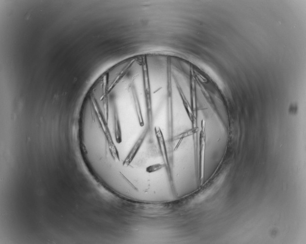 X0000103291007200809191825