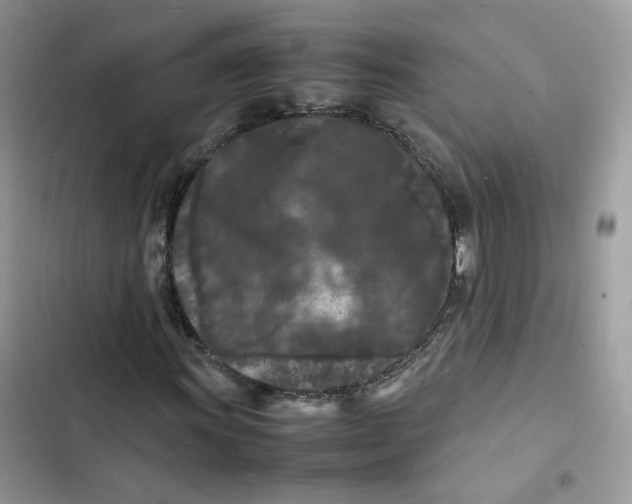 X0000103291011200809191824