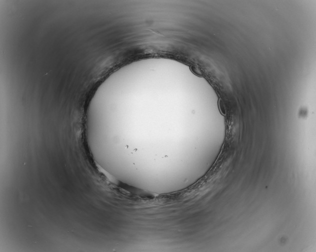 X0000103291012200809191824