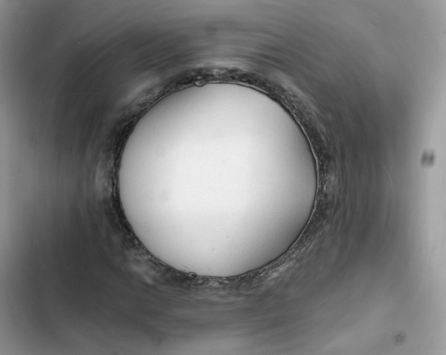 X0000103291014200809191824