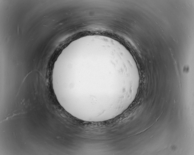 X0000103291016200809191824