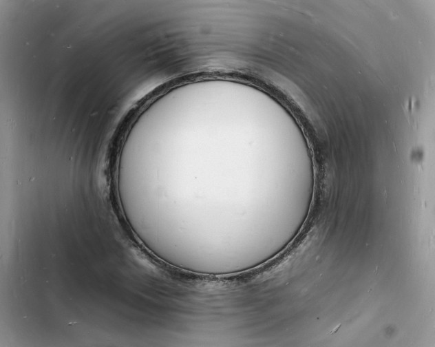 X0000103291018200809191824