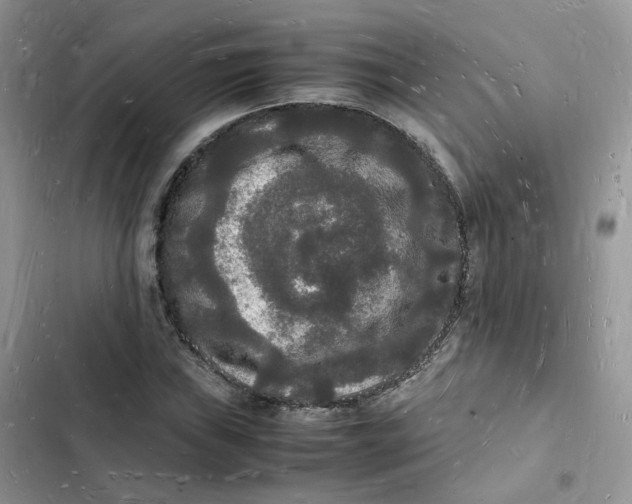 X0000103291019200809191825