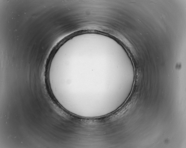 X0000103291020200809191825