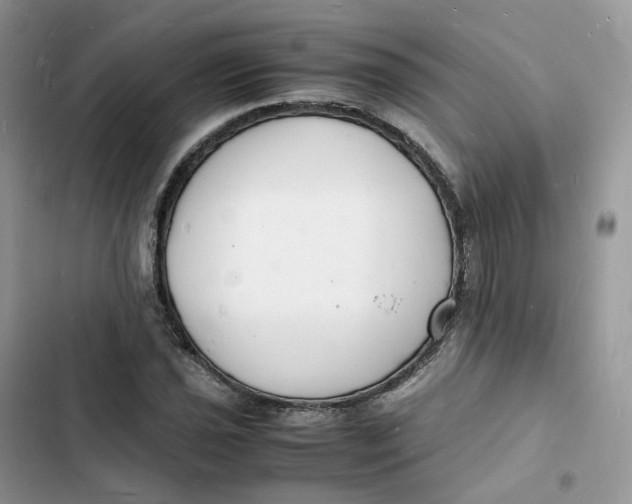 X0000103291021200809191825