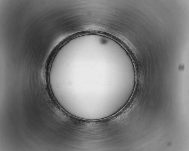 X0000103291022200809191825