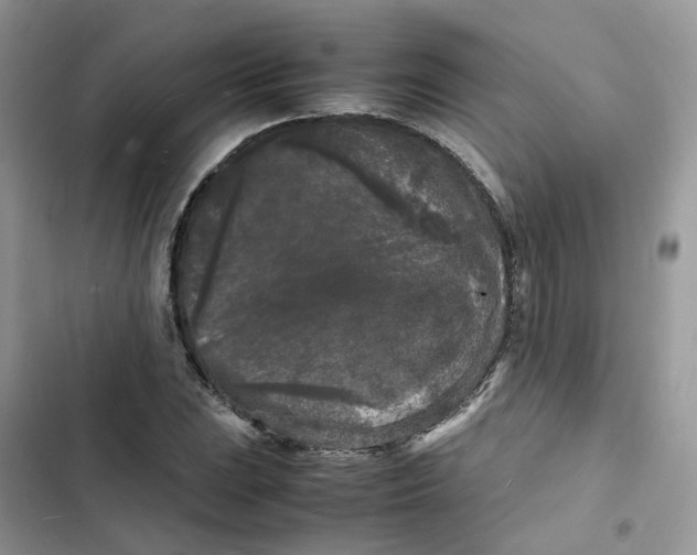 X0000103291023200809191825