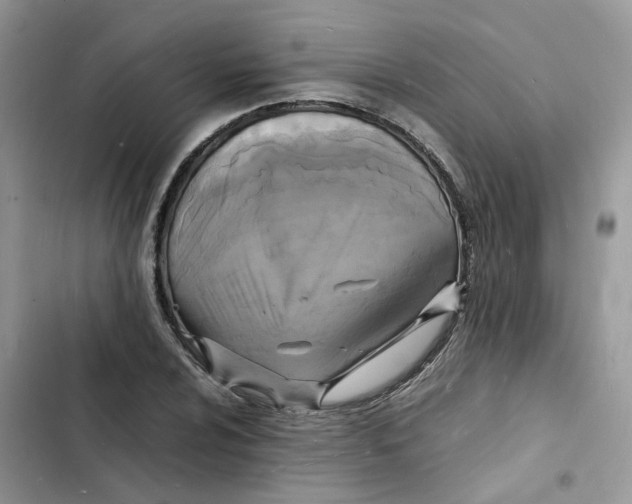 X0000103291024200809191825