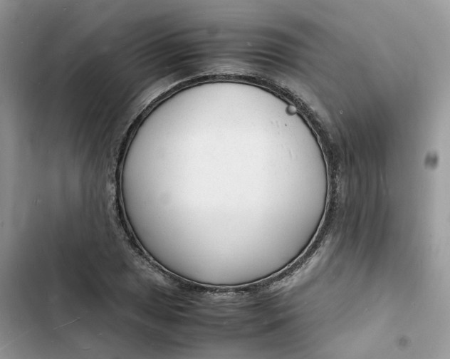 X0000103291025200809191825