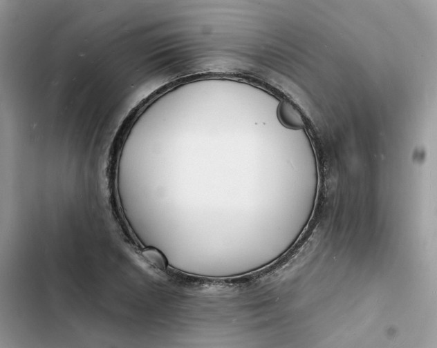 X0000103291026200809191825