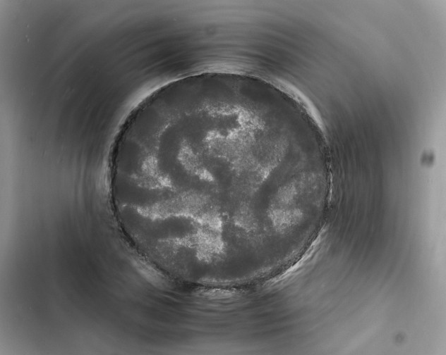 X0000103291027200809191825