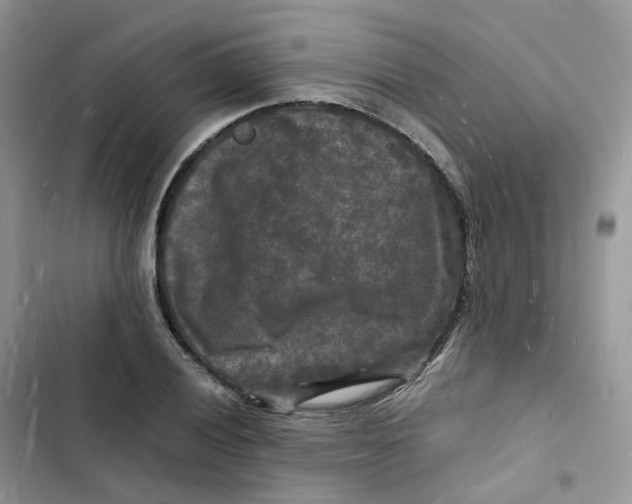 X0000103291028200809191825