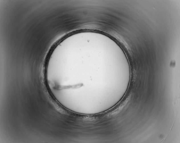 X0000103291029200809191825