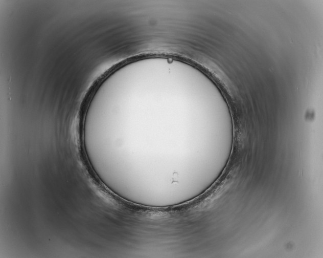 X0000103291030200809191825