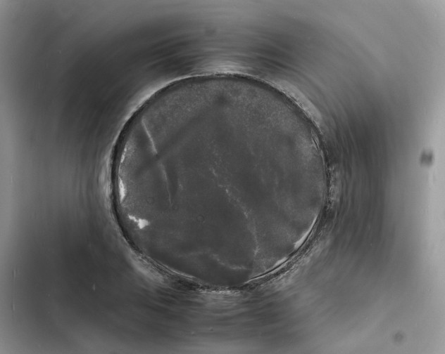 X0000103291031200809191825