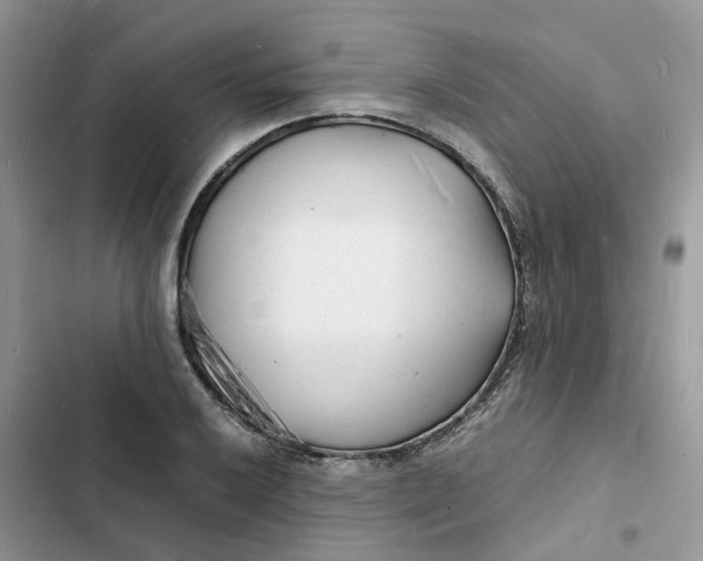 X0000103291032200809191825