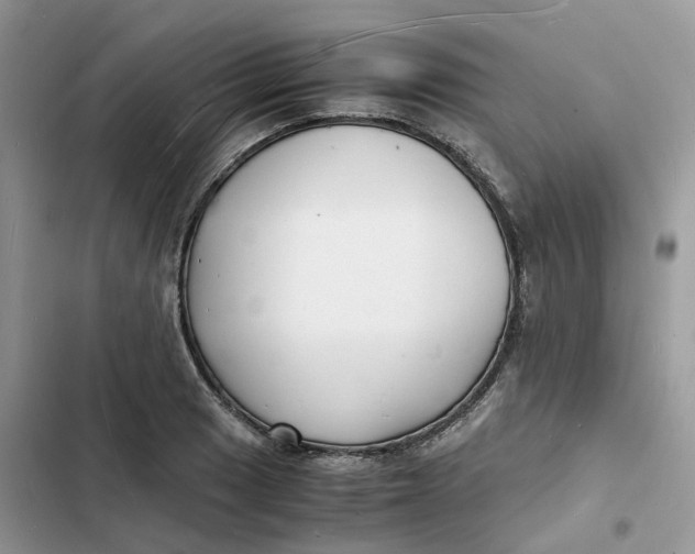 X0000103291033200809191825