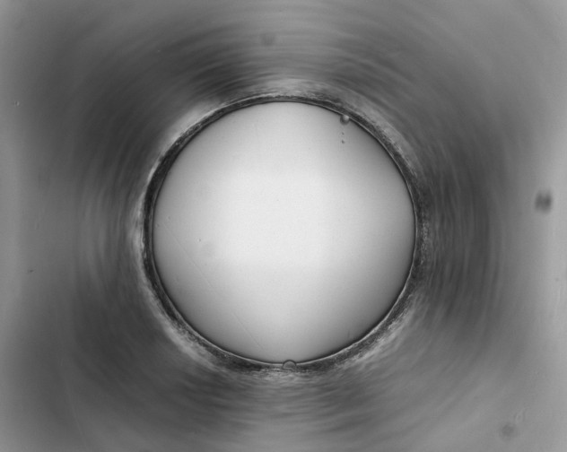 X0000103291034200809191825