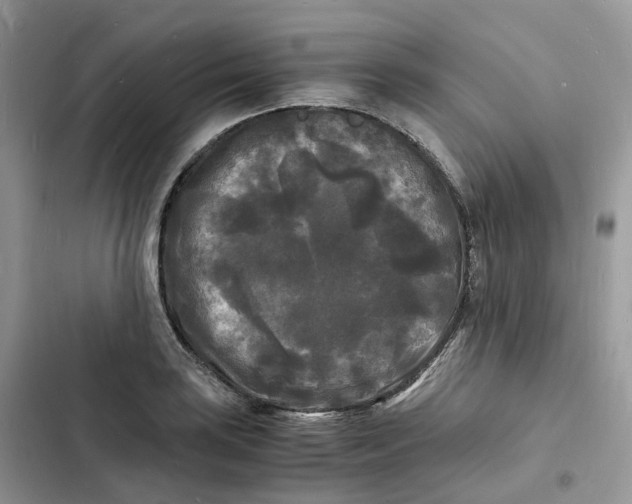 X0000103291035200809191825